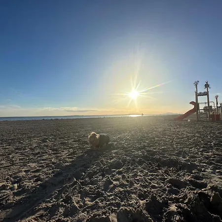 Apartamento Central Santa Pola * سانتا بولا